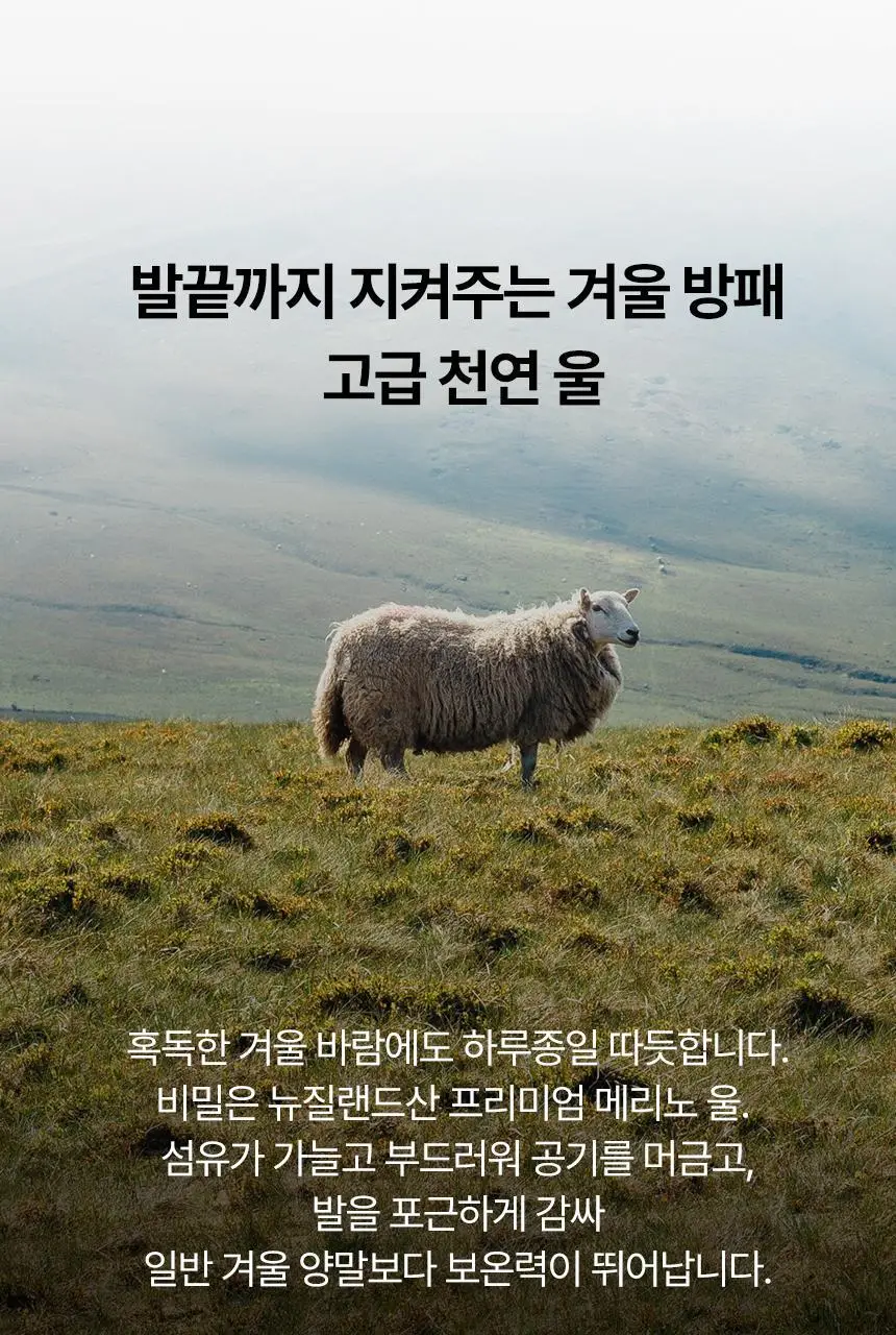 삭피엔스 메리노 울 양털 기모 공용 양말 (S/M) 상세페이지 7