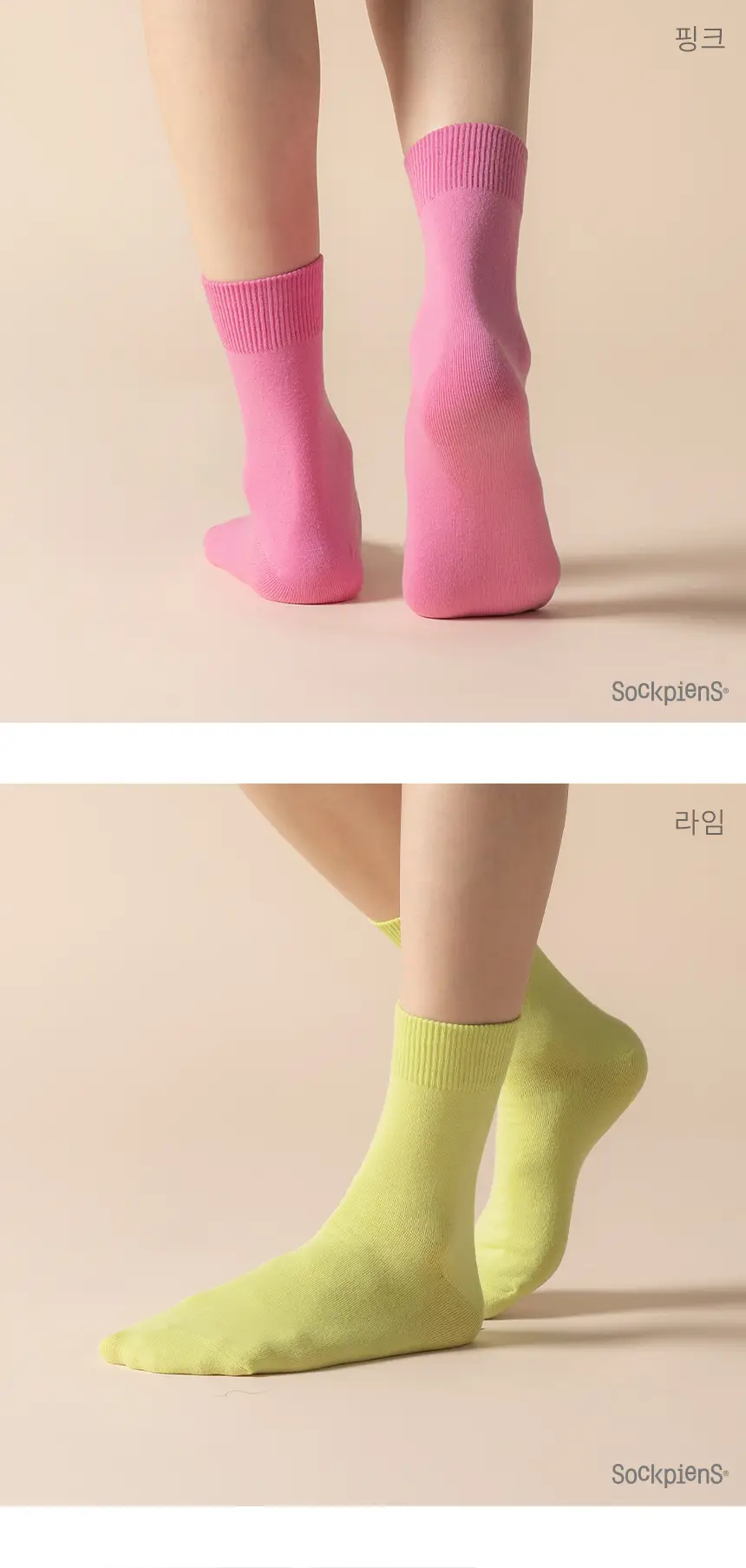 삭피엔스 컬러가 예쁜 베이직 중목 무지 여성 양말 8켤레 5type 상세페이지 20