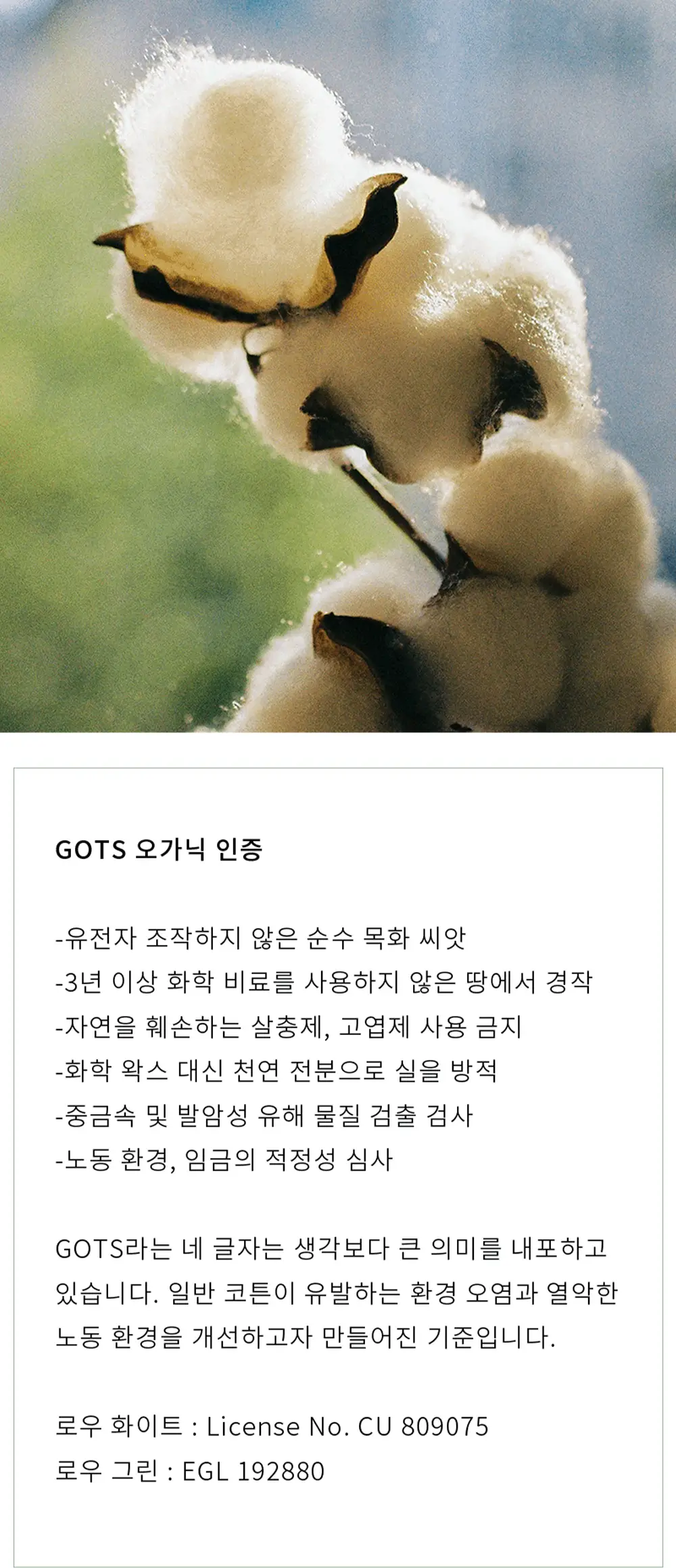 수푸이 오가닉 코튼 양말 4팩 세트 상세페이지 2