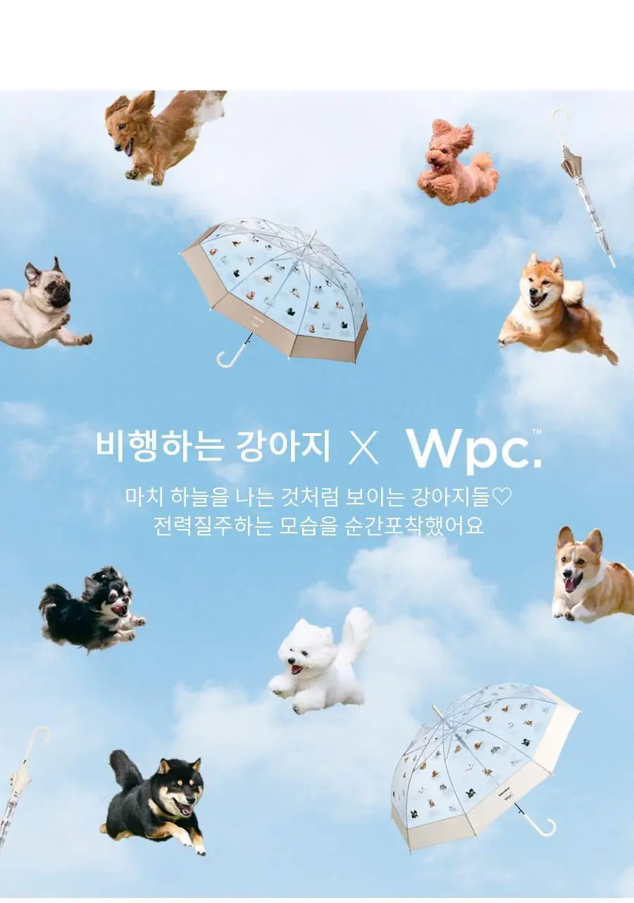 Wpc. 멍브렐라 비닐 장우산 (2colors) (PT-HK01-001) 상세페이지 5