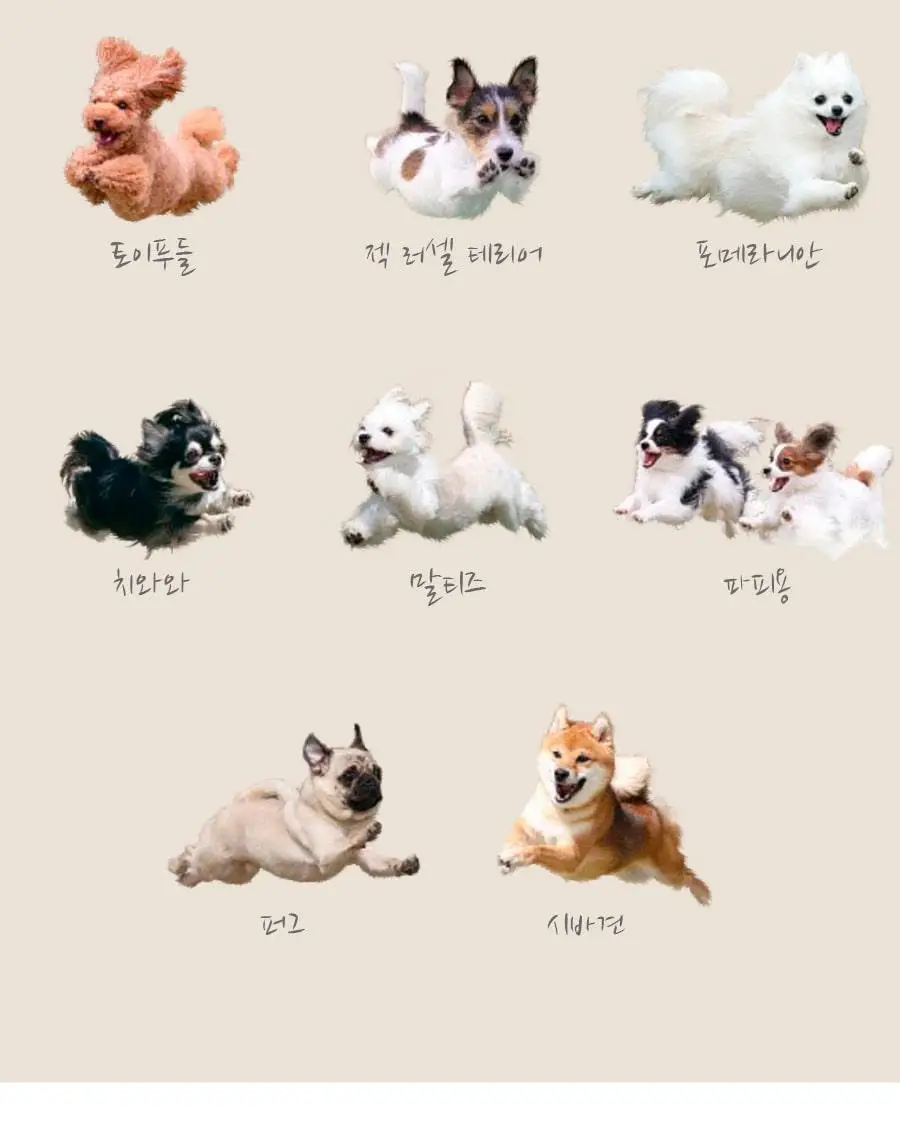 Wpc. 멍브렐라 비닐 장우산 (2colors) (PT-HK01-001) 상세페이지 11