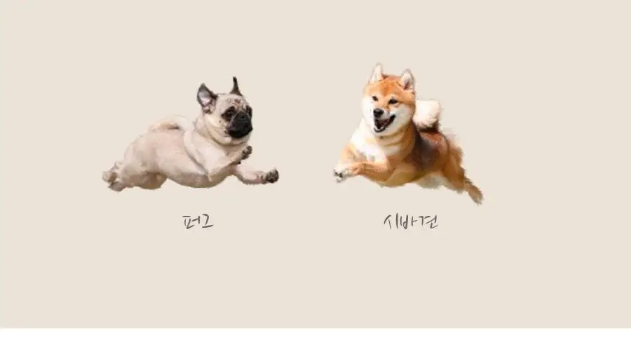 Wpc. 멍파라솔 5단 양산 (2colors) (801-HK003-102) 상세페이지 10
