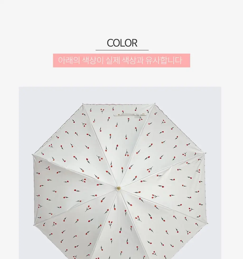 Wpc. 쁘띠튤립 장양산 (2colors) (81-12139-101) 상세페이지 23