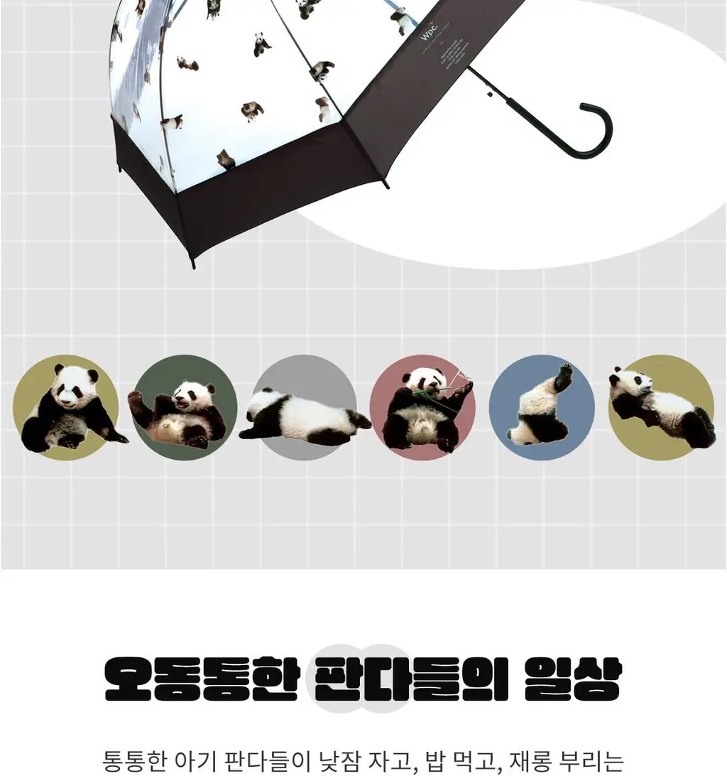 Wpc. 판다 투명 장우산 (PT-PD01) 상세페이지 6
