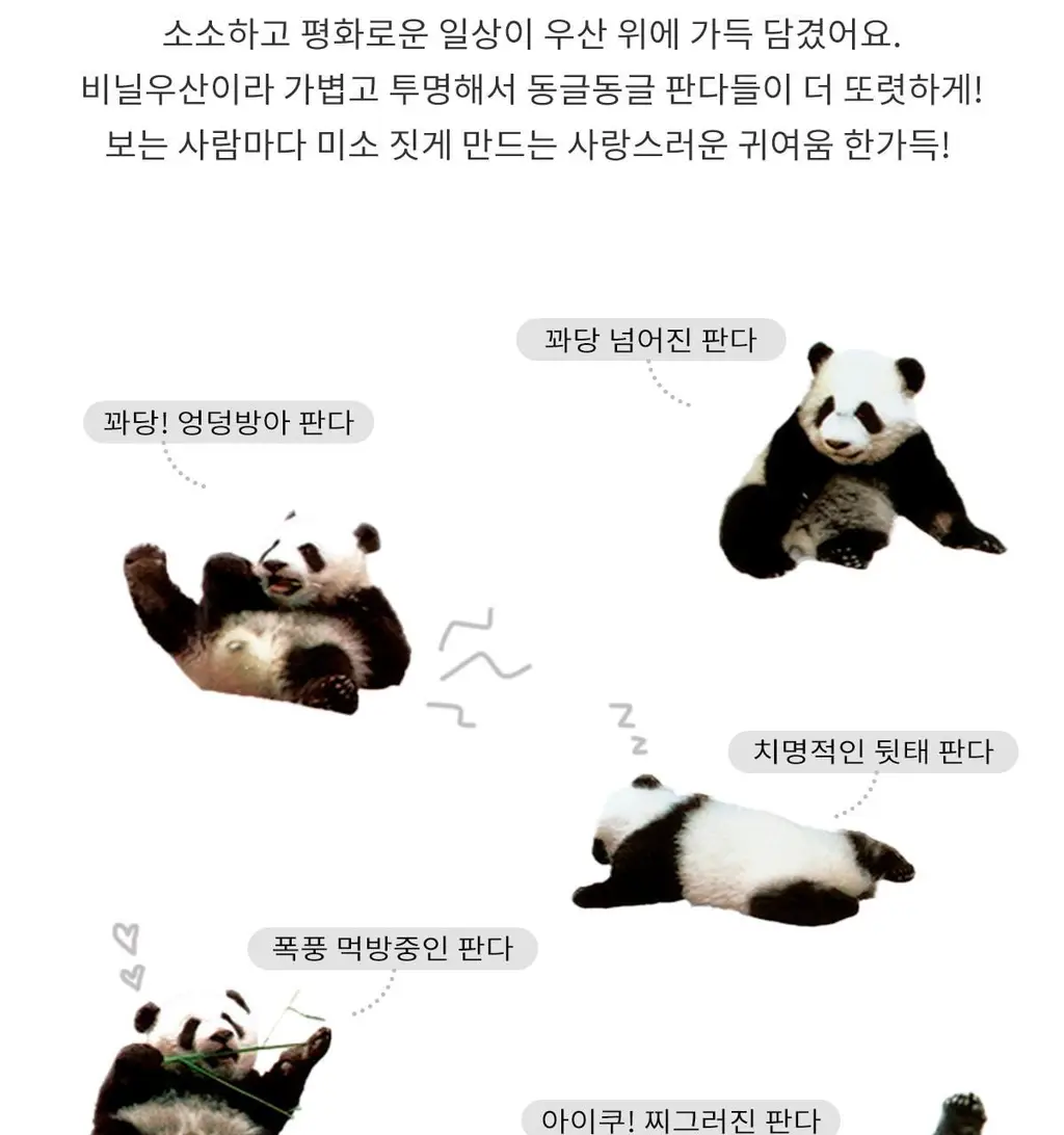 Wpc. 판다 투명 장우산 (PT-PD01) 상세페이지 7