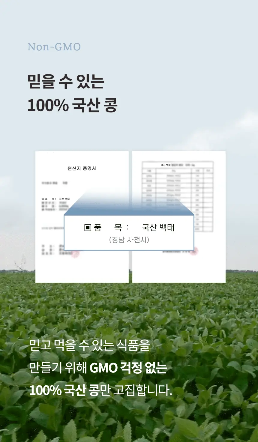 가루선생 콩 크림 수프 40g 3개입 단호박 상세페이지 32