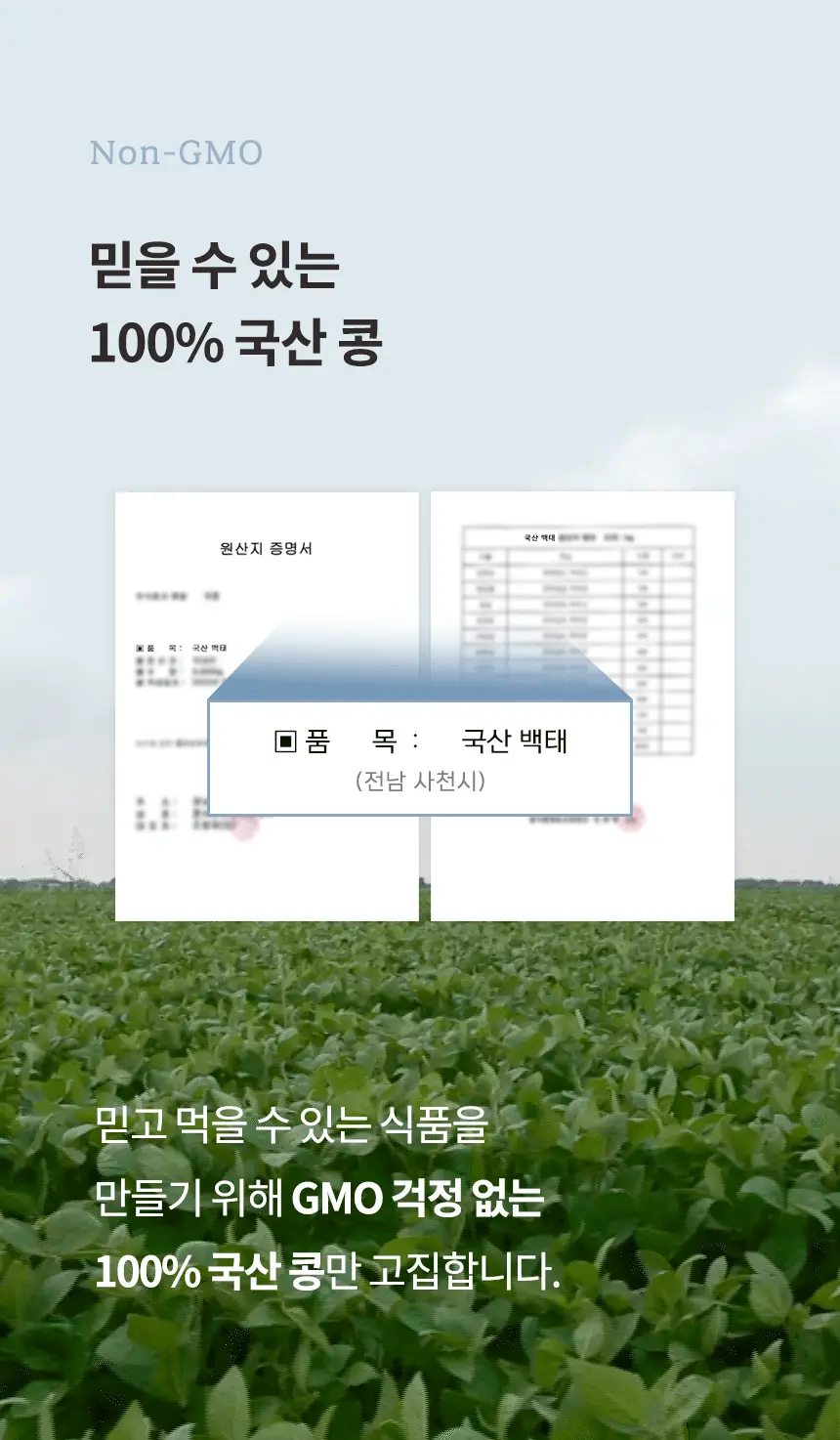 가루선생 콩 크림 수프 40g 3개입 옥수수 상세페이지 28