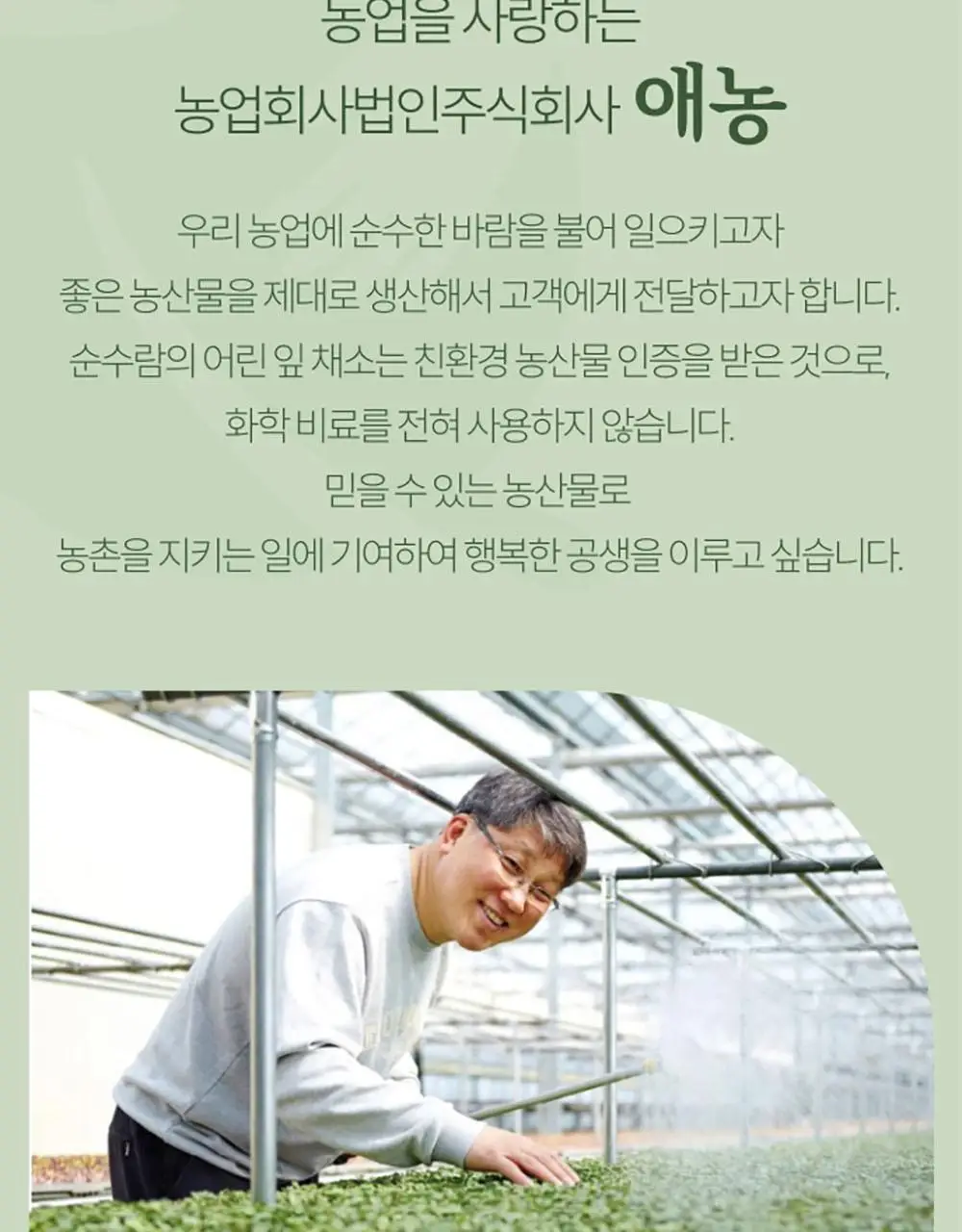 채담카레 160g 새우갈릭 상세페이지 17