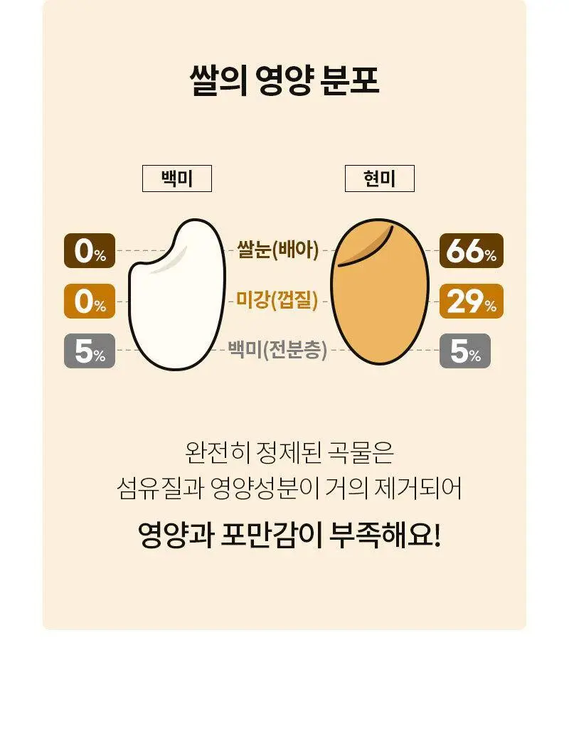 다신 오늘은 점보 현미주먹밥 2종 택1 (참치김치, 산채비빔) 상세페이지 8