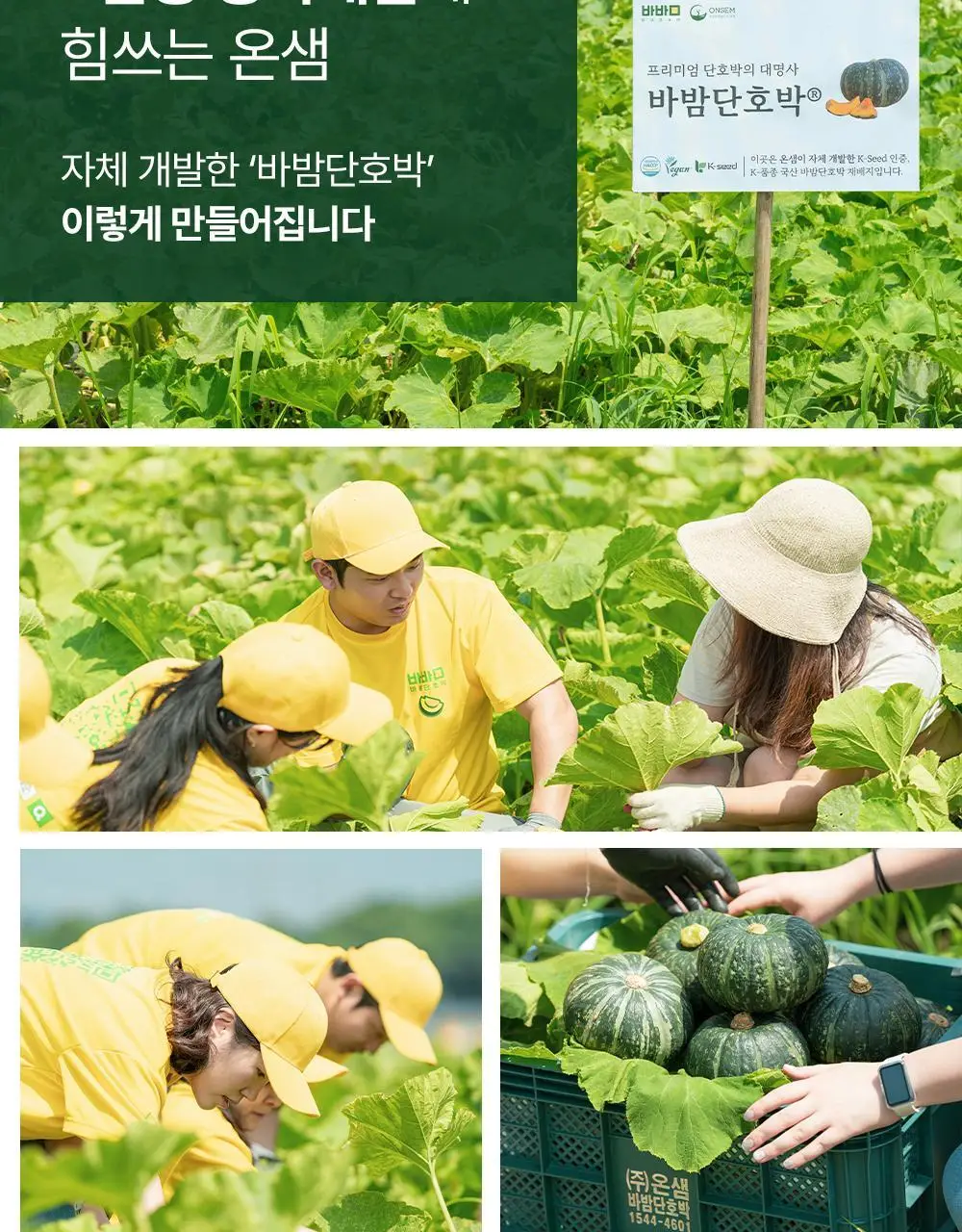 바밤 포켓밀 3종 택1 상세페이지 20