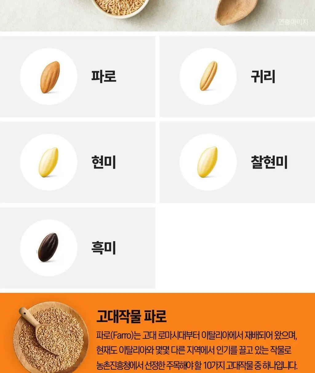 햇반 라이스플랜 파로 통곡물죽 265g 상세페이지 9