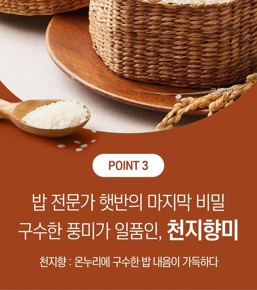 햇반 렌틸콩 퀴노아 곤약밥 150g X 24개 상세페이지 23