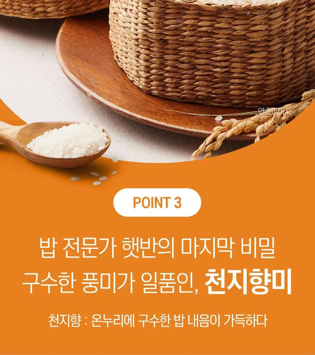 햇반 병아리콩 퀴노아 곤약밥 150g X 24개 상세페이지 23