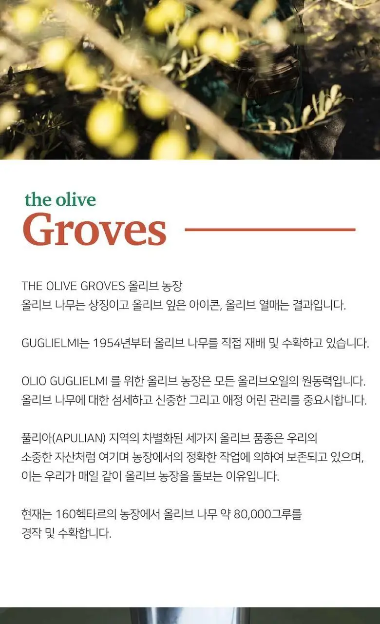 굴리엘미 엑스트라버진 올리브오일 모노컬티바 페란자나 500ml 상세페이지 2