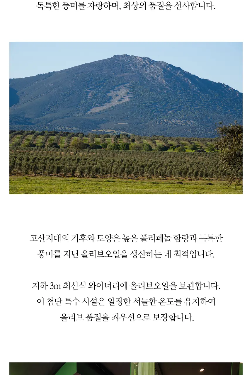 데헤사 엘 몰리니요 엑스트라버진 올리브오일 500ml 레세르바 파밀리아 상세페이지 22