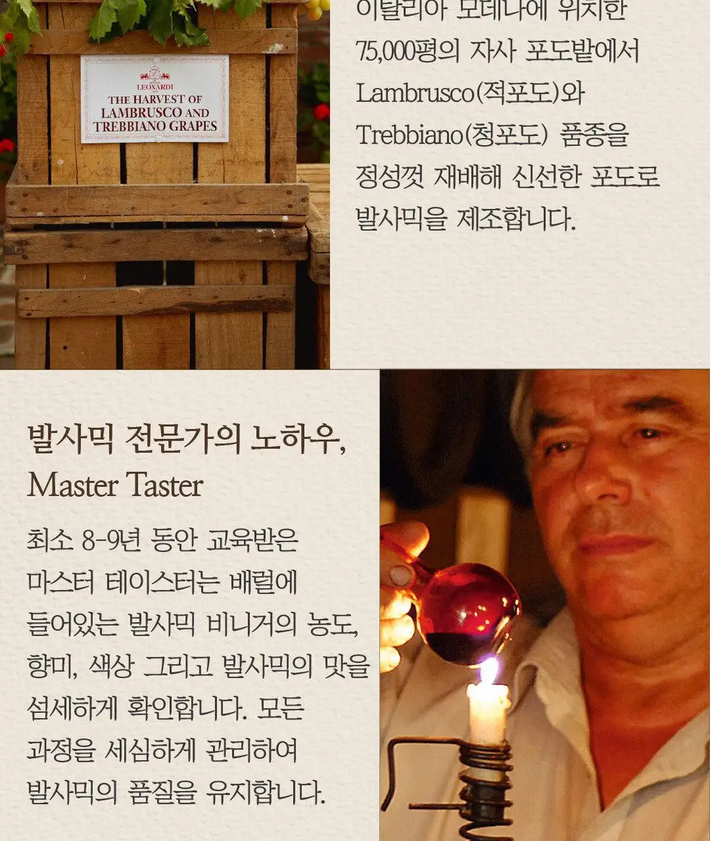 레오나르디 발사믹 콘디멘토 250ml 화이트 상세페이지 5