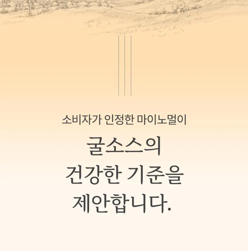 마이노멀 저당 굴소스 330g 상세페이지 2