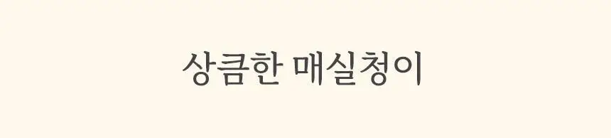 마이노멀 저당 매실청 580g 상세페이지 3