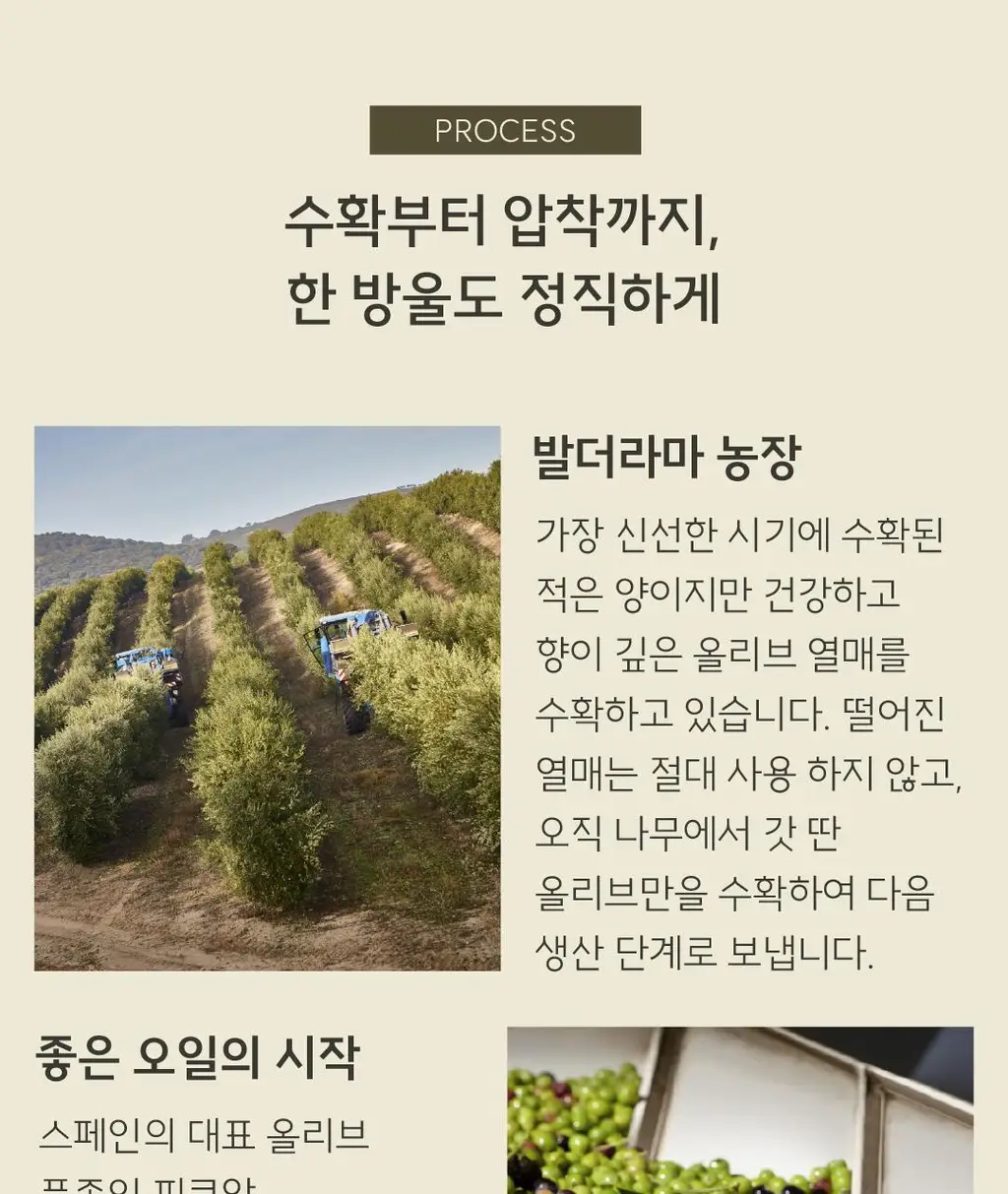 발더라마 엑스트라버진 올리브오일 250ml 아르베키나 상세페이지 11