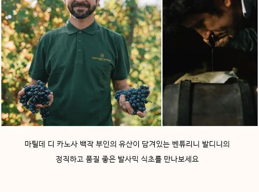 벤튜리니 발디니 아체타이아 디 카노사 모데나 IGP 250ml 상세페이지 9