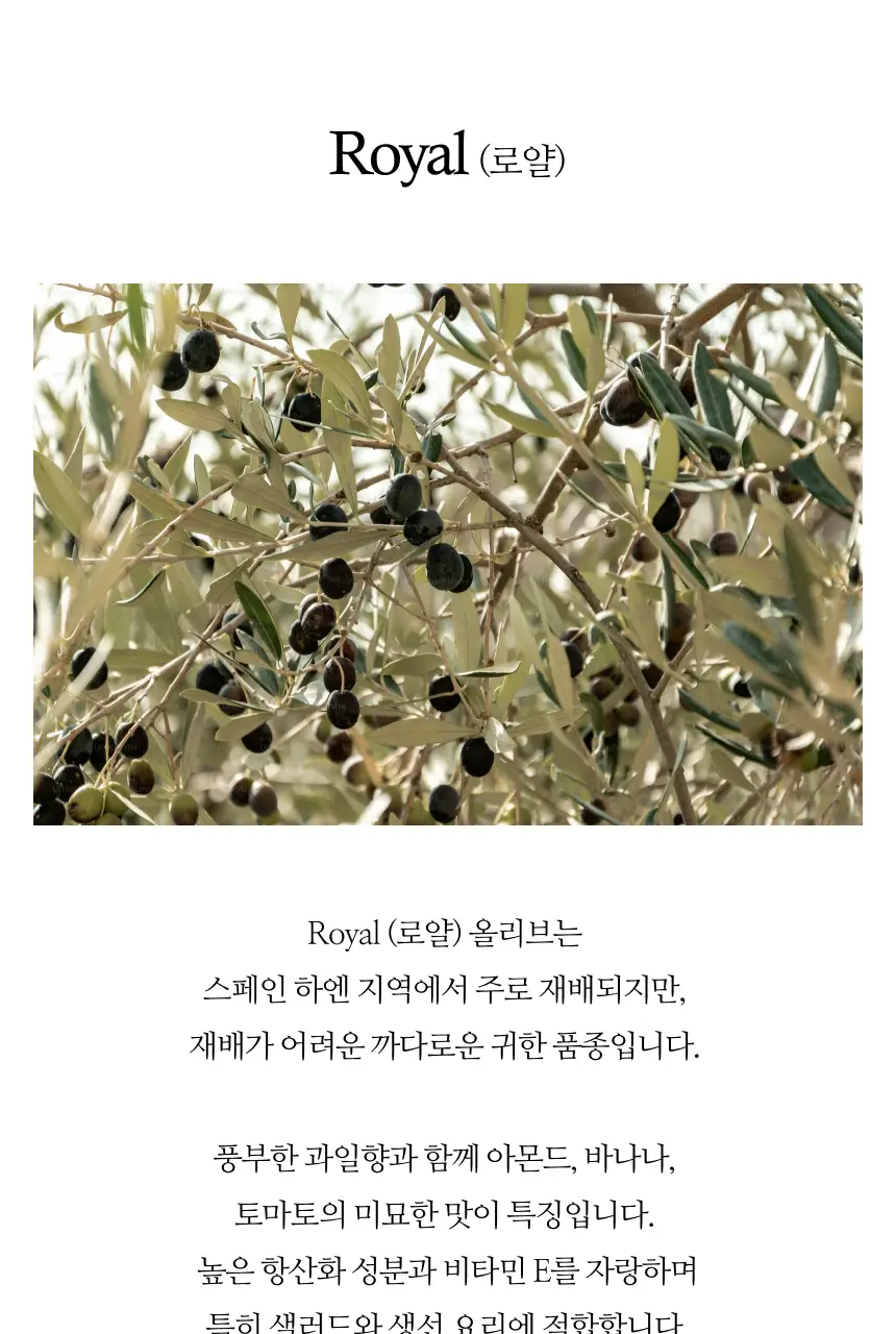 수프리모 엑스트라버진 올리브오일 500ml 로얄 유기농 상세페이지 11