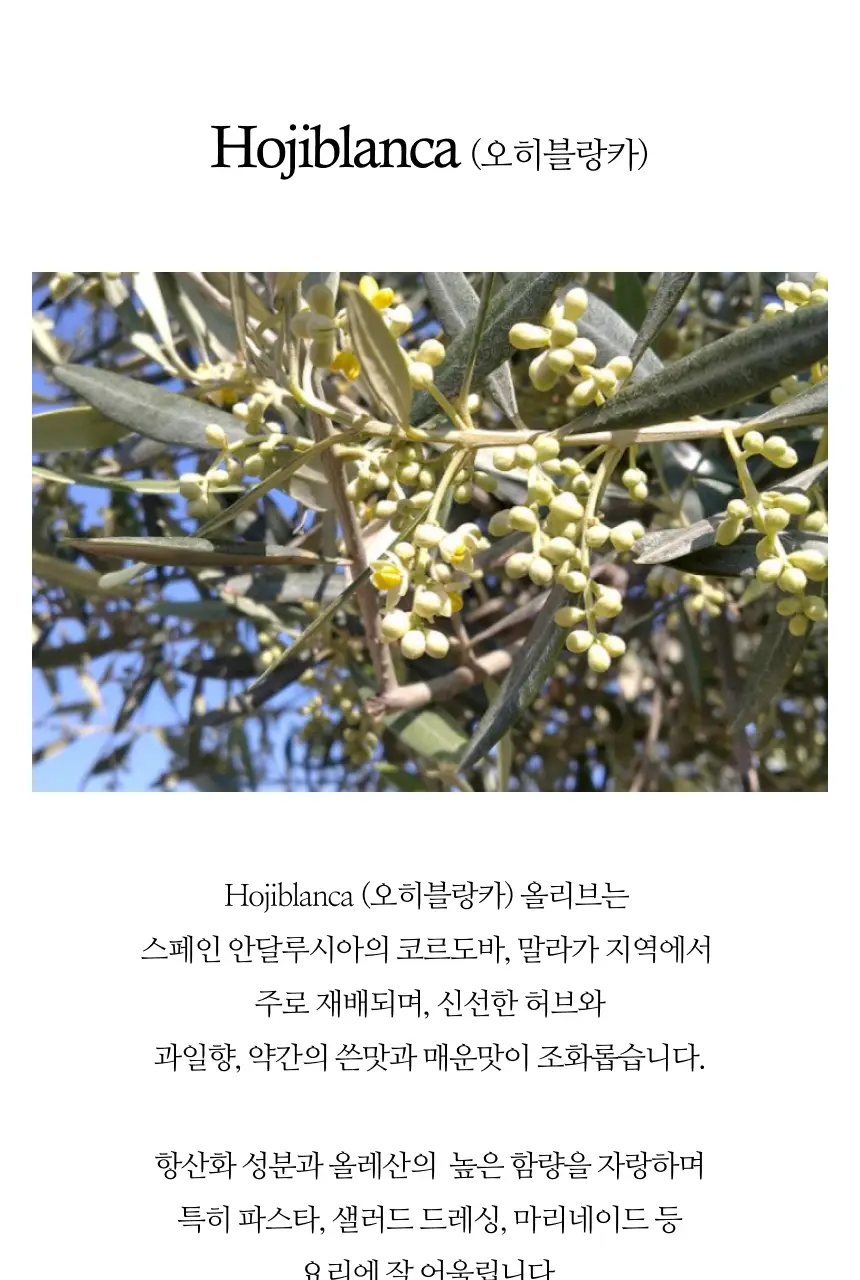 수프리모 엑스트라버진 올리브오일 500ml 오히블랑카 상세페이지 9
