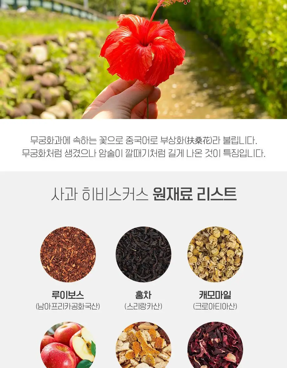 쌍계명차 과일 허그티 3종 30티백 (쇼핑백 포함) 상세페이지 4