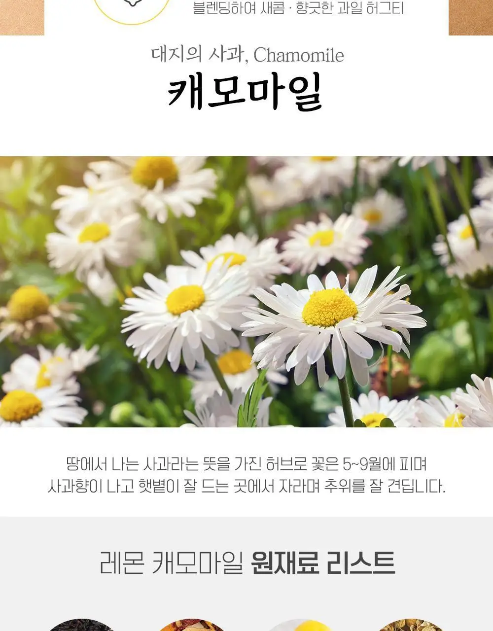 쌍계명차 과일 허그티 3종 30티백 (쇼핑백 포함) 상세페이지 9