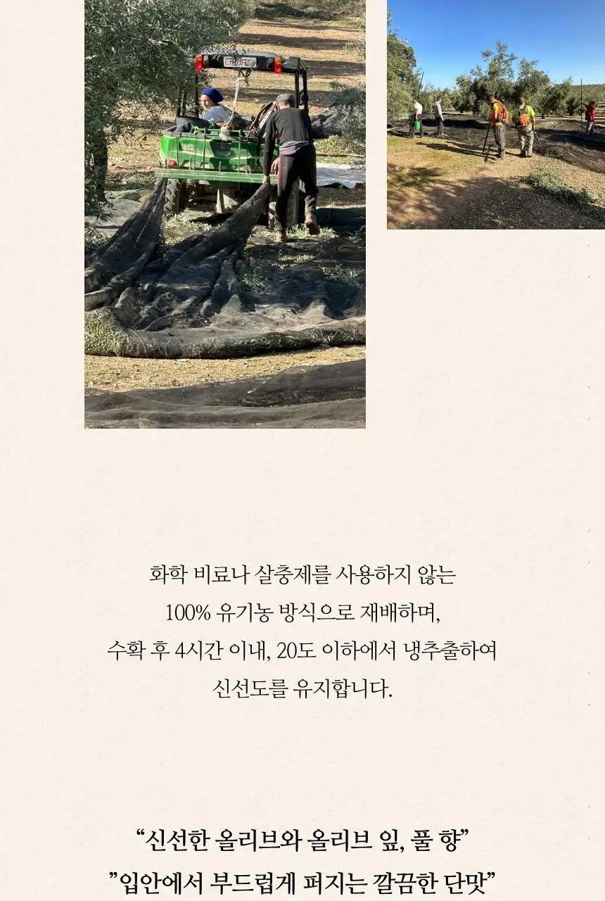 씨엘로 이 띠에라 엑스트라버진 올리브오일 500ml 바이오 상세페이지 17