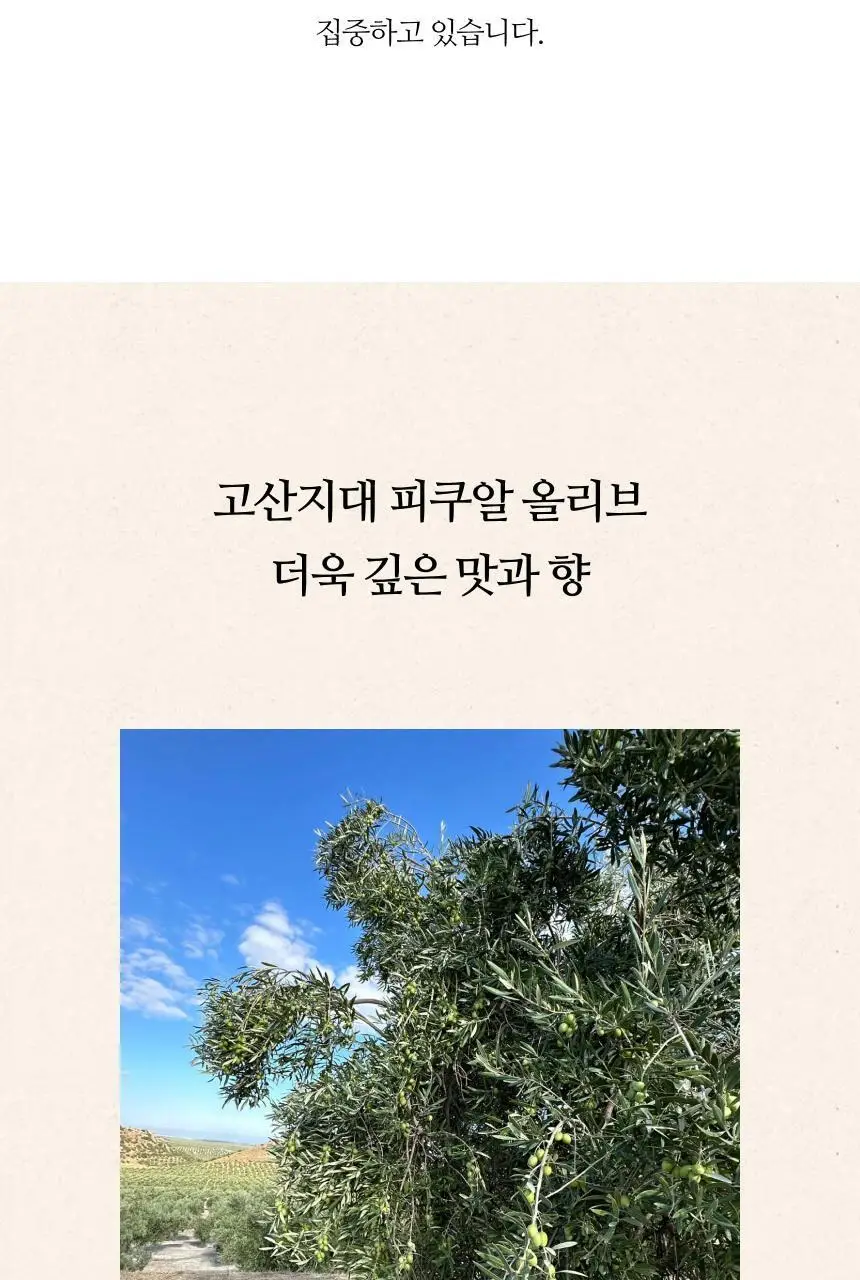 씨엘로 이 띠에라 엑스트라버진 올리브오일 500ml+500ml (얼리하베스트/바이오) 상세페이지 18