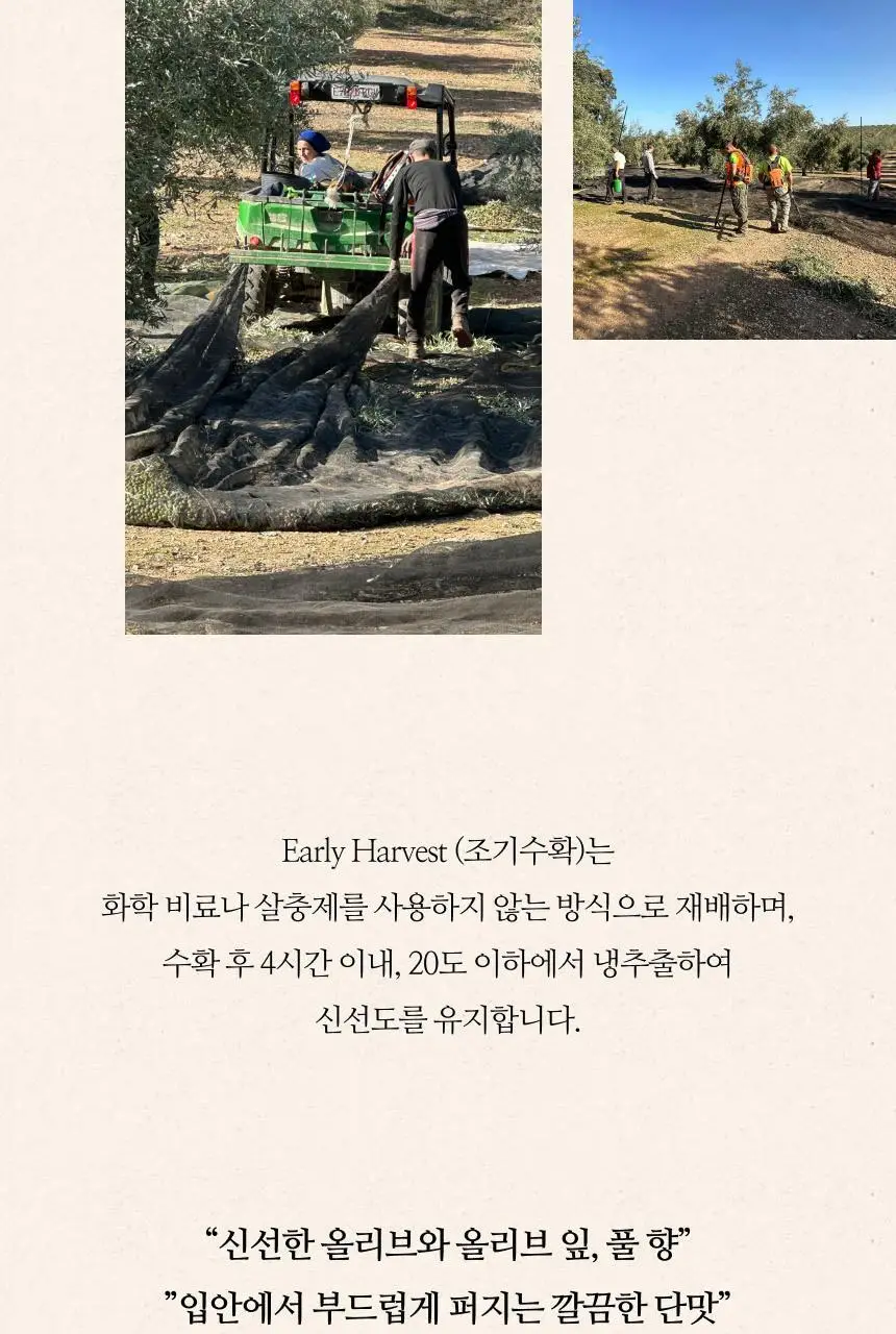 씨엘로 이 띠에라 엑스트라버진 올리브오일 500ml+500ml (얼리하베스트/바이오) 상세페이지 20