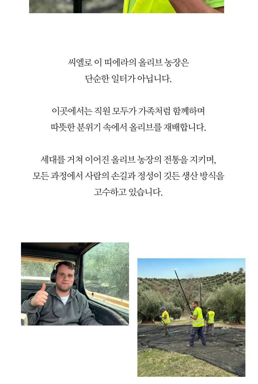 씨엘로 이 띠에라 엑스트라버진 올리브오일 500ml+500ml (얼리하베스트/바이오) 상세페이지 23