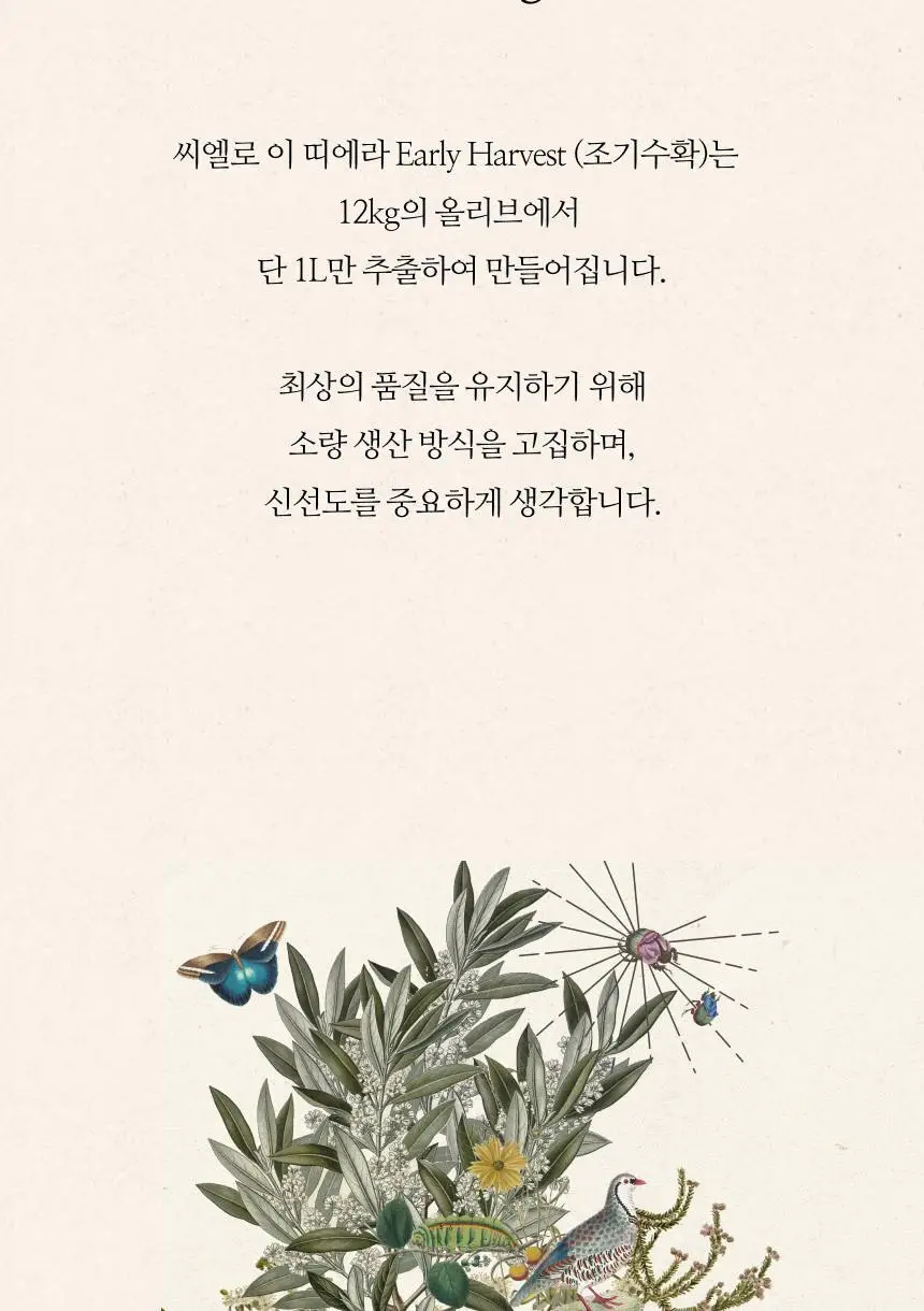 씨엘로 이 띠에라 엑스트라버진 올리브오일 500ml+500ml (얼리하베스트/바이오) 상세페이지 25