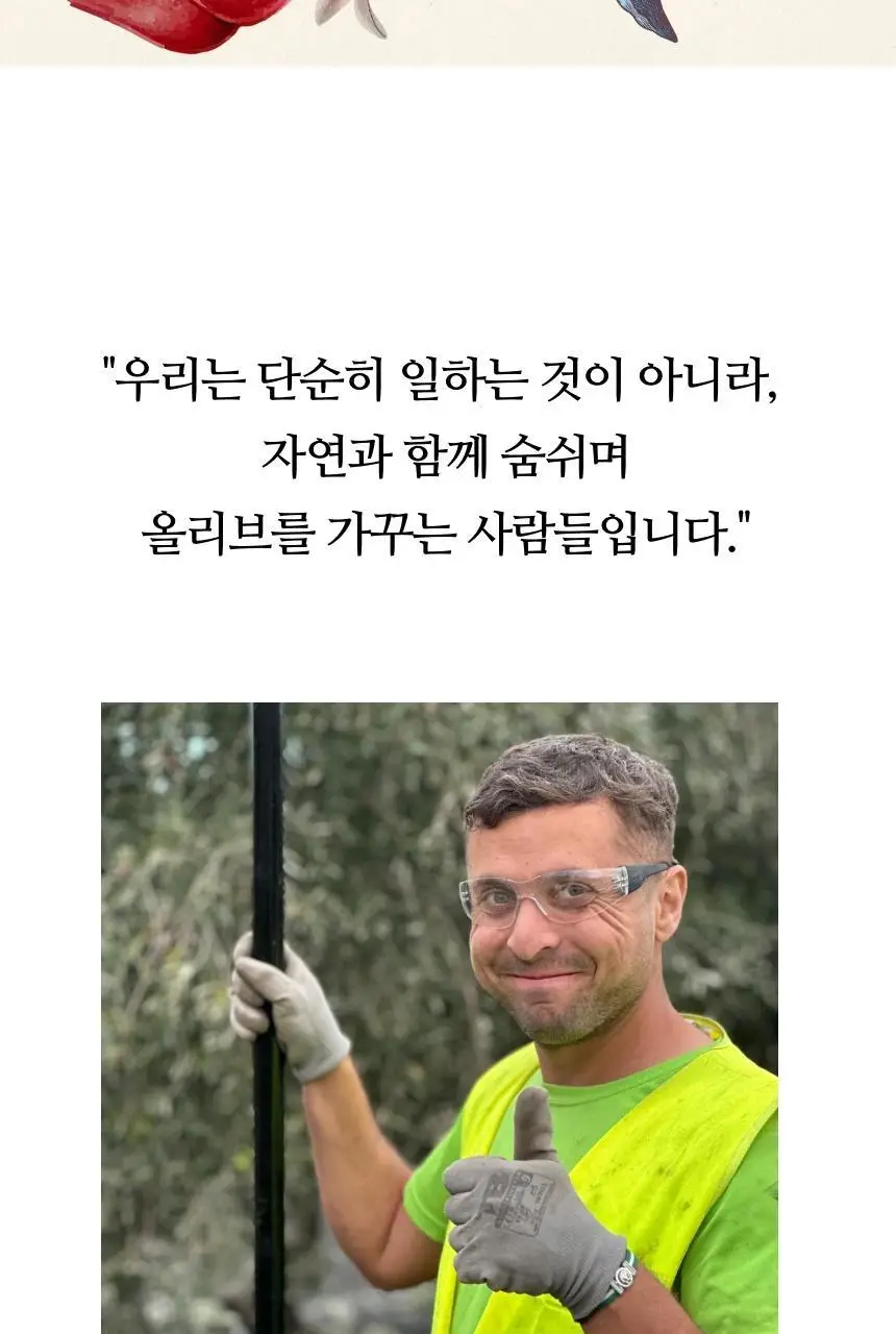 씨엘로 이 띠에라 엑스트라버진 올리브오일 500ml+500ml (얼리하베스트/바이오) 상세페이지 49