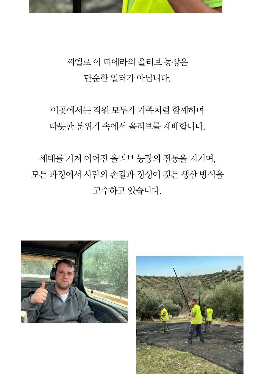 씨엘로 이 띠에라 엑스트라버진 올리브오일 500ml+500ml (얼리하베스트/바이오) 상세페이지 50