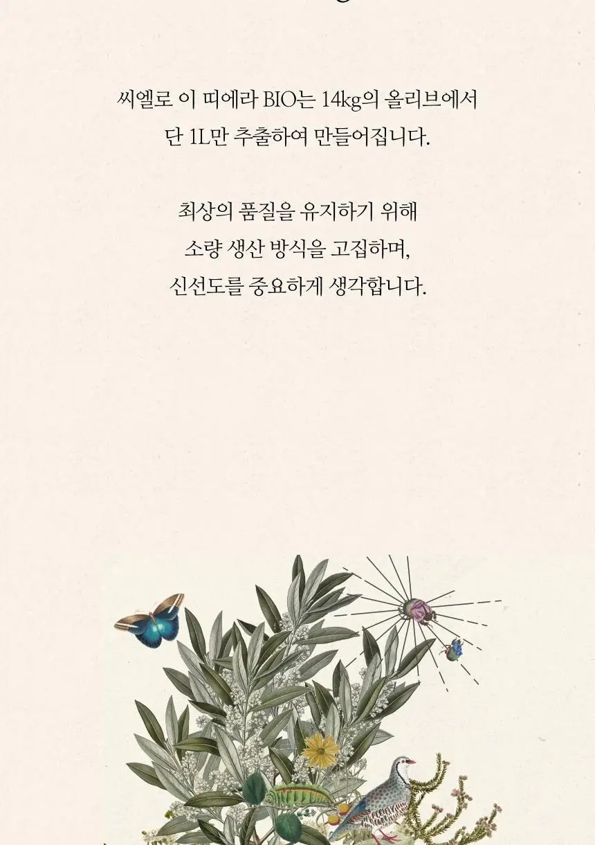 씨엘로 이 띠에라 엑스트라버진 올리브오일 500ml+500ml (얼리하베스트/바이오) 상세페이지 52