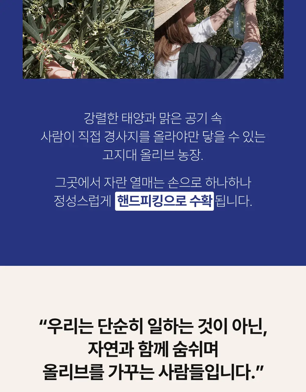 씨엘로 이 띠에라 페노메날 엑스트라버진 올리브오일 20ml 3개입 상세페이지 8