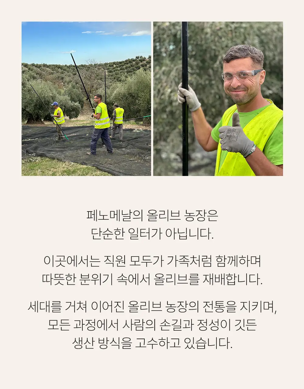 씨엘로 이 띠에라 페노메날 엑스트라버진 올리브오일 20ml 3개입 상세페이지 9