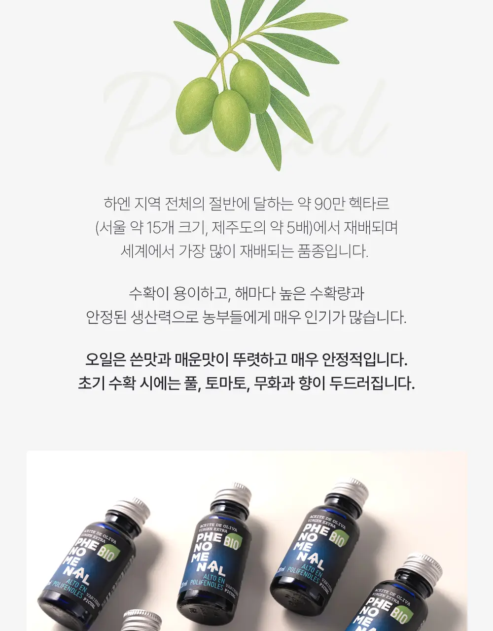 씨엘로 이 띠에라 페노메날 엑스트라버진 올리브오일 20ml 3개입 상세페이지 15