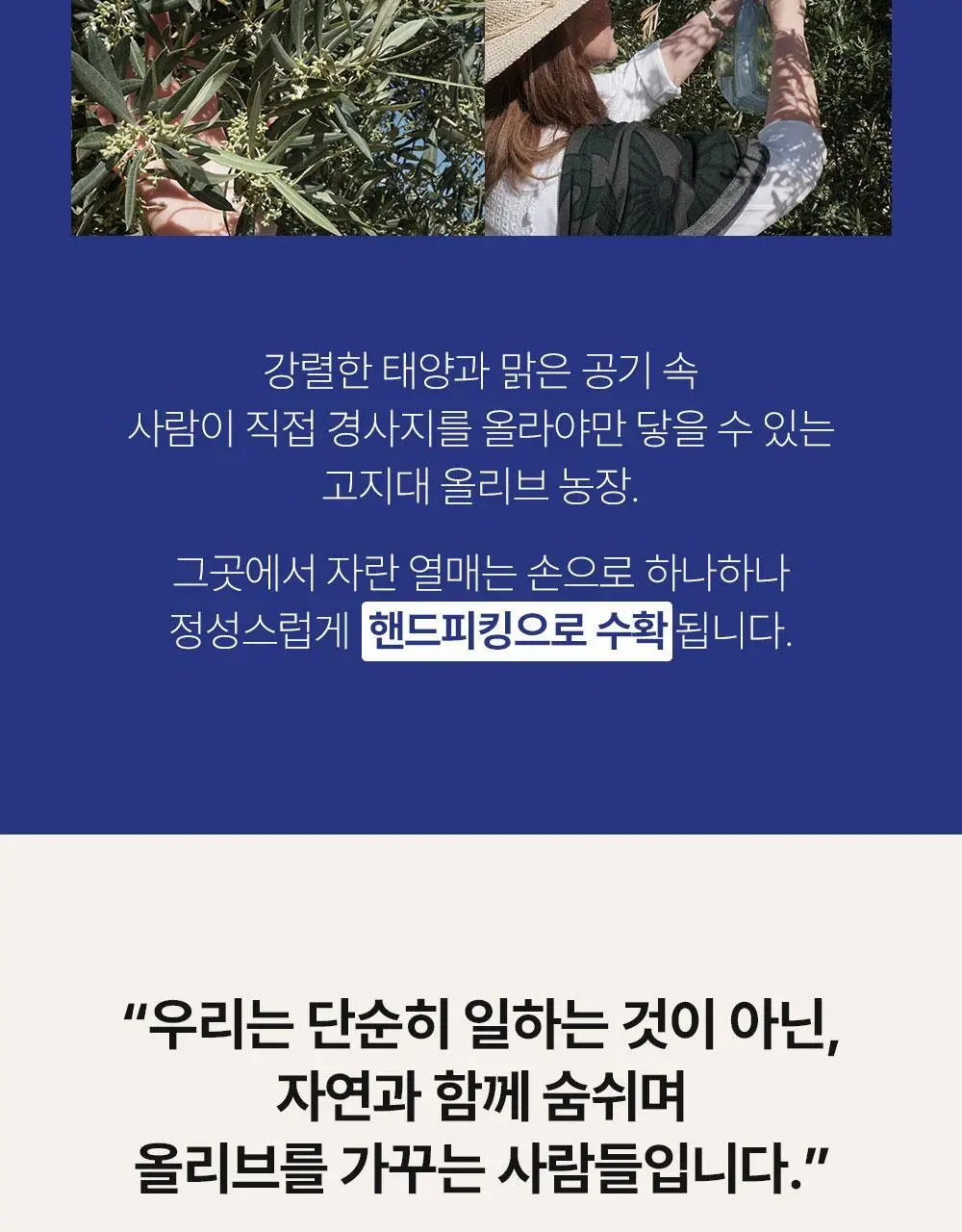 씨엘로 이 띠에라 페노메날 엑스트라버진 올리브오일 500ml 바이오 상세페이지 8