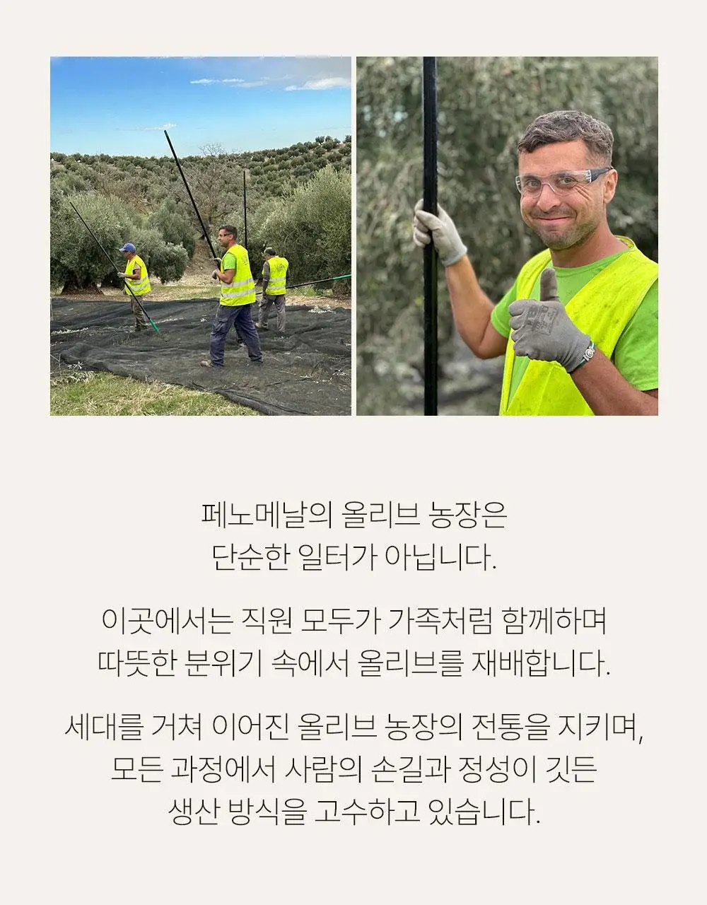 씨엘로 이 띠에라 페노메날 엑스트라버진 올리브오일 500ml 바이오 상세페이지 9