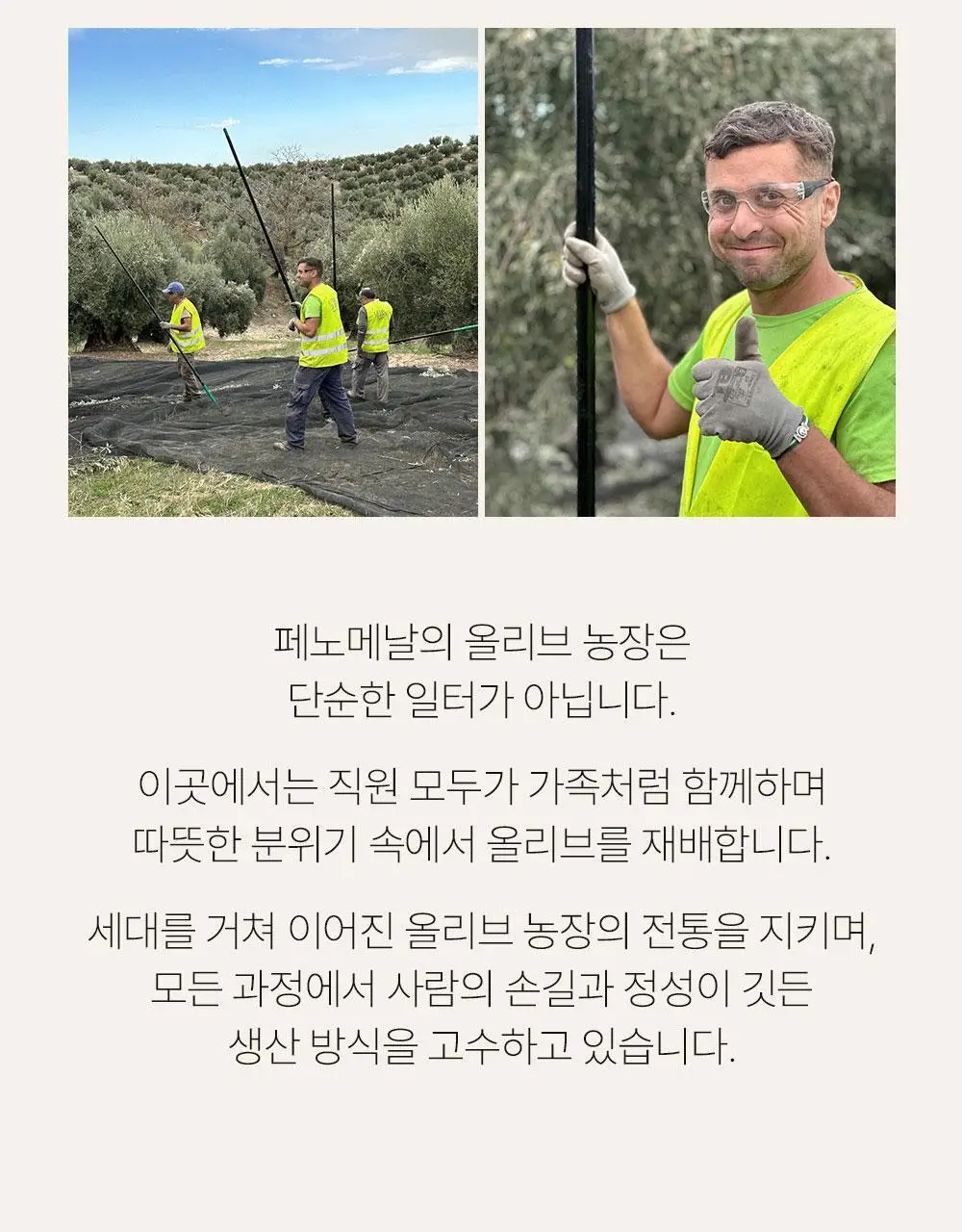 씨엘로 이 띠에라 페노메날 엑스트라버진 올리브오일 500ml 상세페이지 9