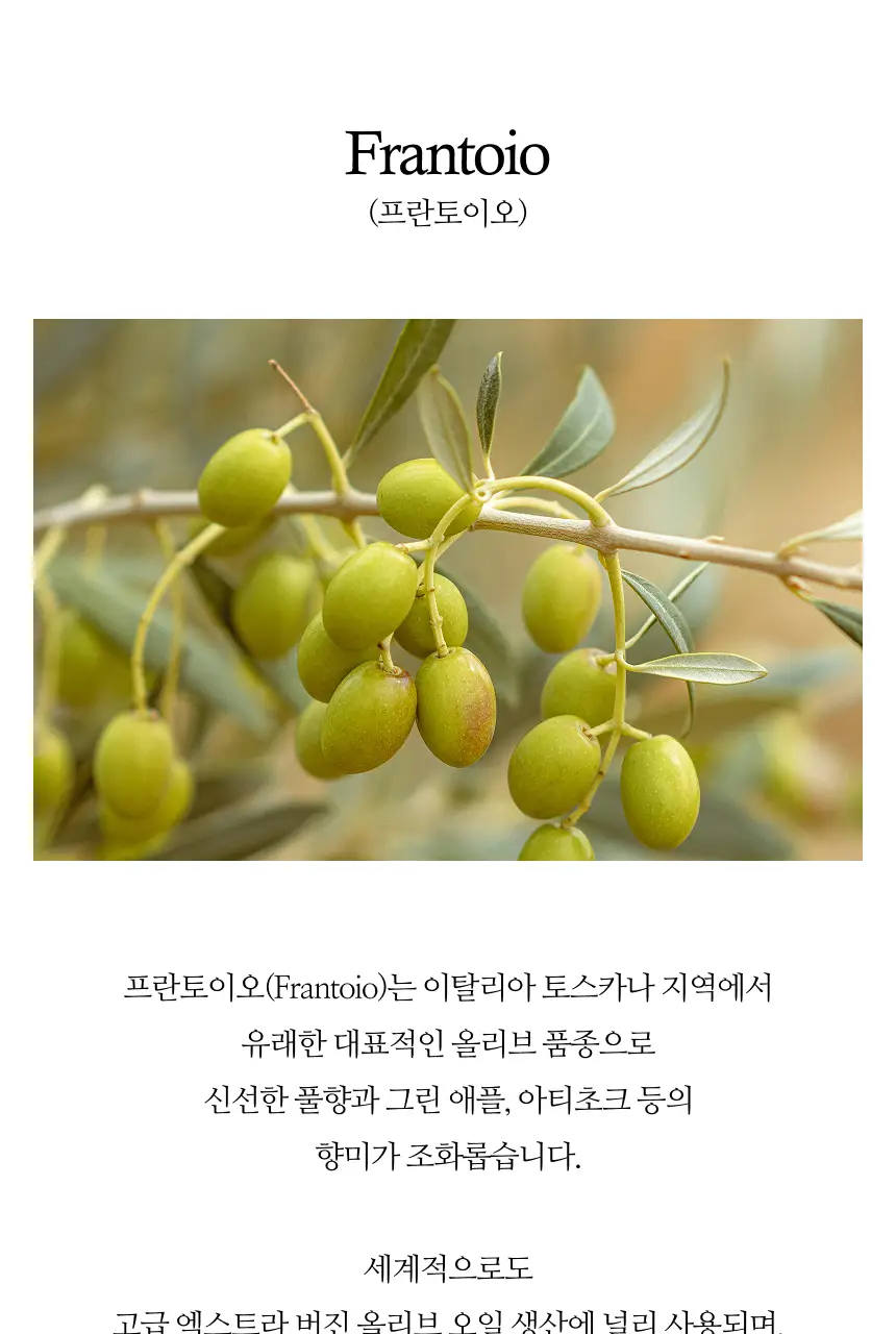 아이레스 데 하엔 핀카 바데네스 엑스트라버진 올리브오일 500ml 쿠파주 상세페이지 12