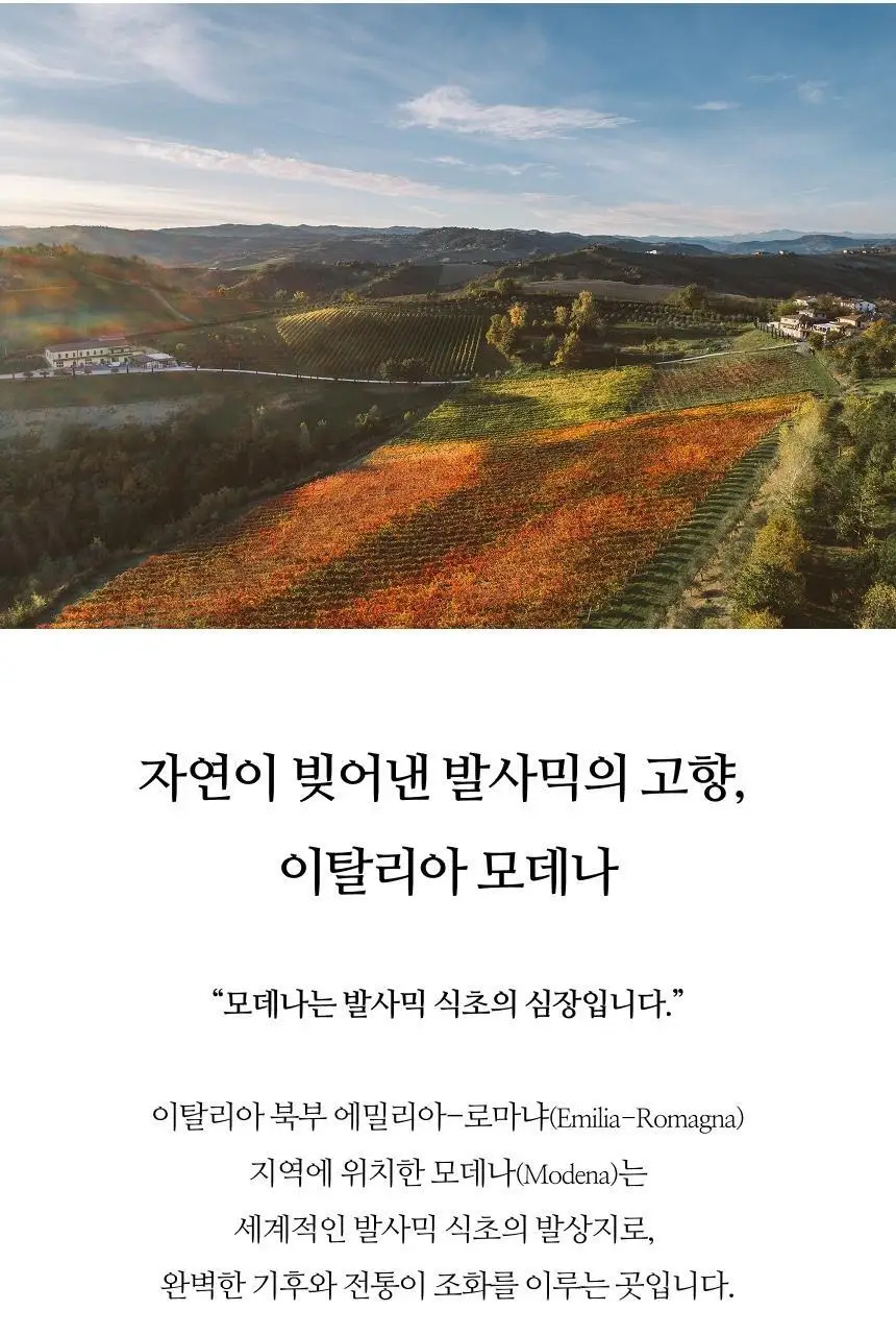 아체타이아 세르니 아그로 돌체 화이트 발사믹 250ml 민트 앤 로즈마리 상세페이지 6