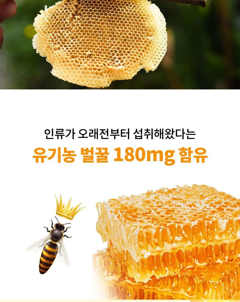 아코로얄 로얄젤리 구미 60정 상세페이지 3