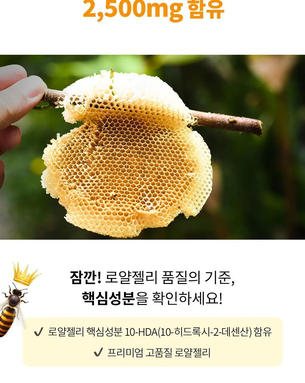 아코로얄 프리미엄 로얄젤리 유니카도스 3종 택1 상세페이지 6