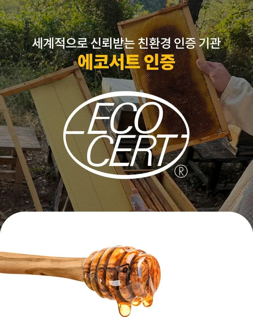 아코로얄 프리미엄 로얄젤리 주니어 500mg 유니카도스 15ml 10앰플 상세페이지 3