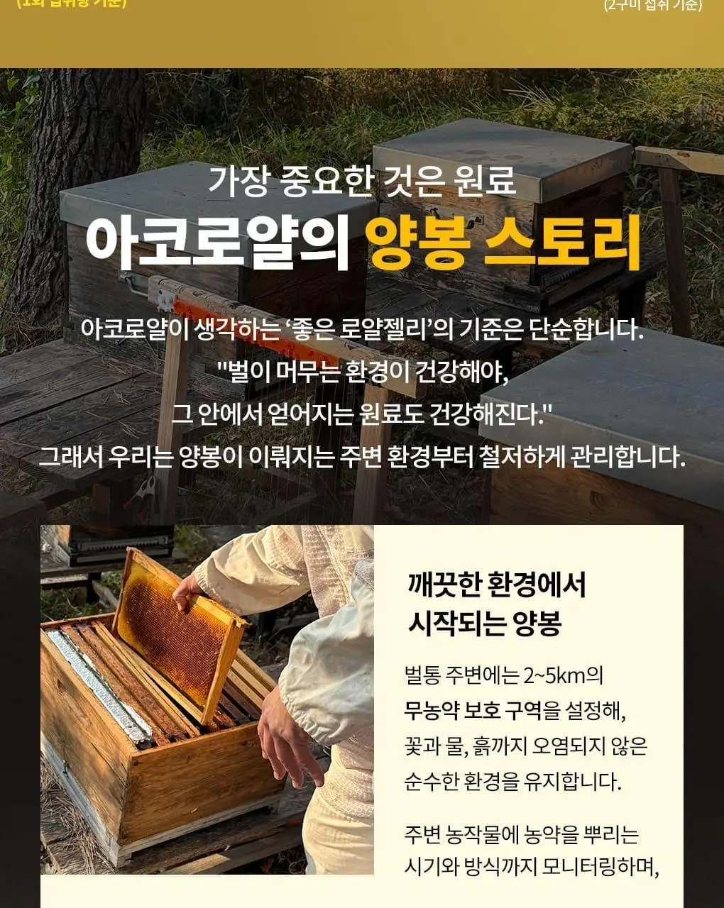 아코로얄 프리미엄 로얄젤리 주니어 500mg 유니카도스 15ml 10앰플 상세페이지 16