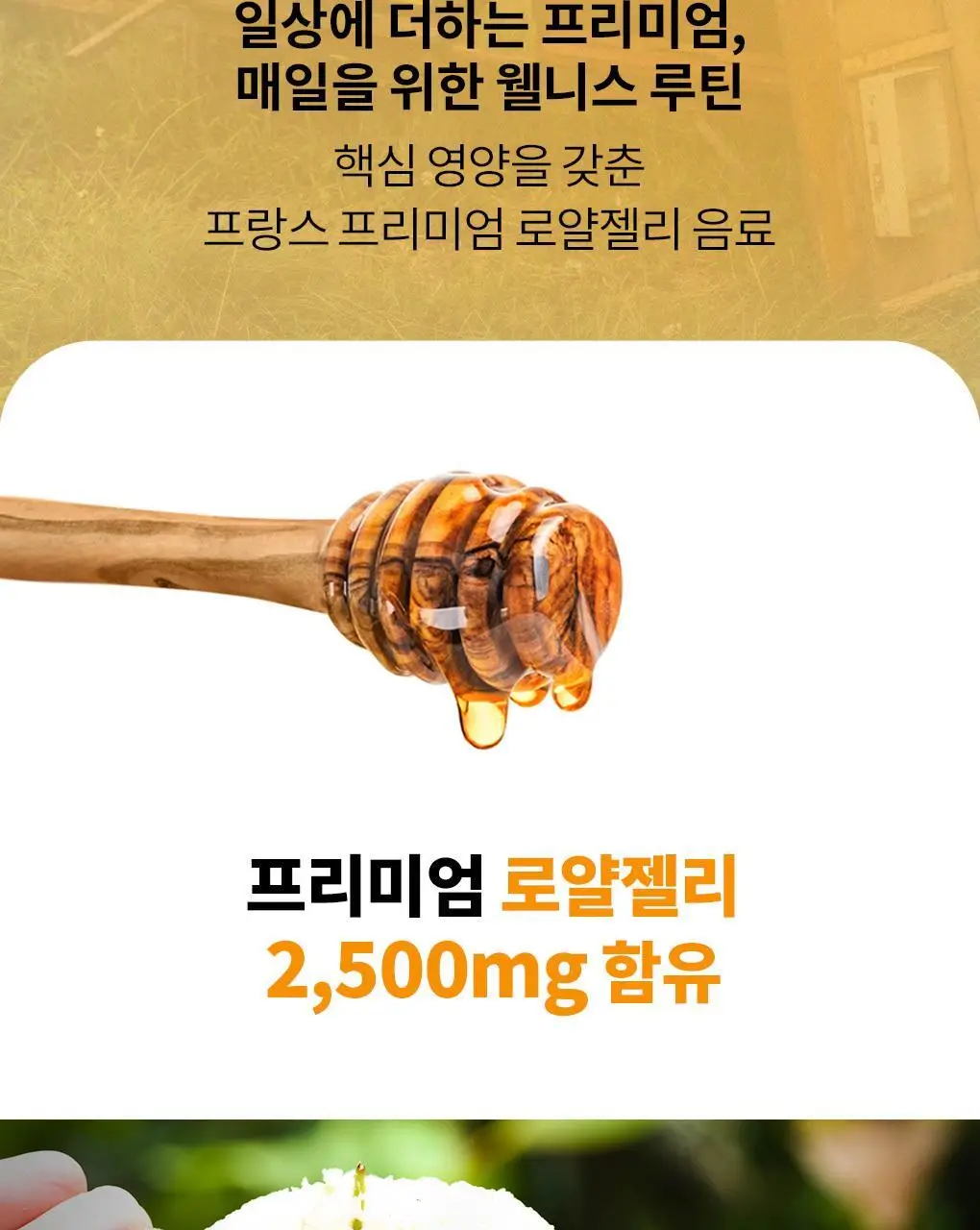 아코로얄 프리미엄 로얄젤리 2500mg 유니카도스 15ml 10앰플 상세페이지 2