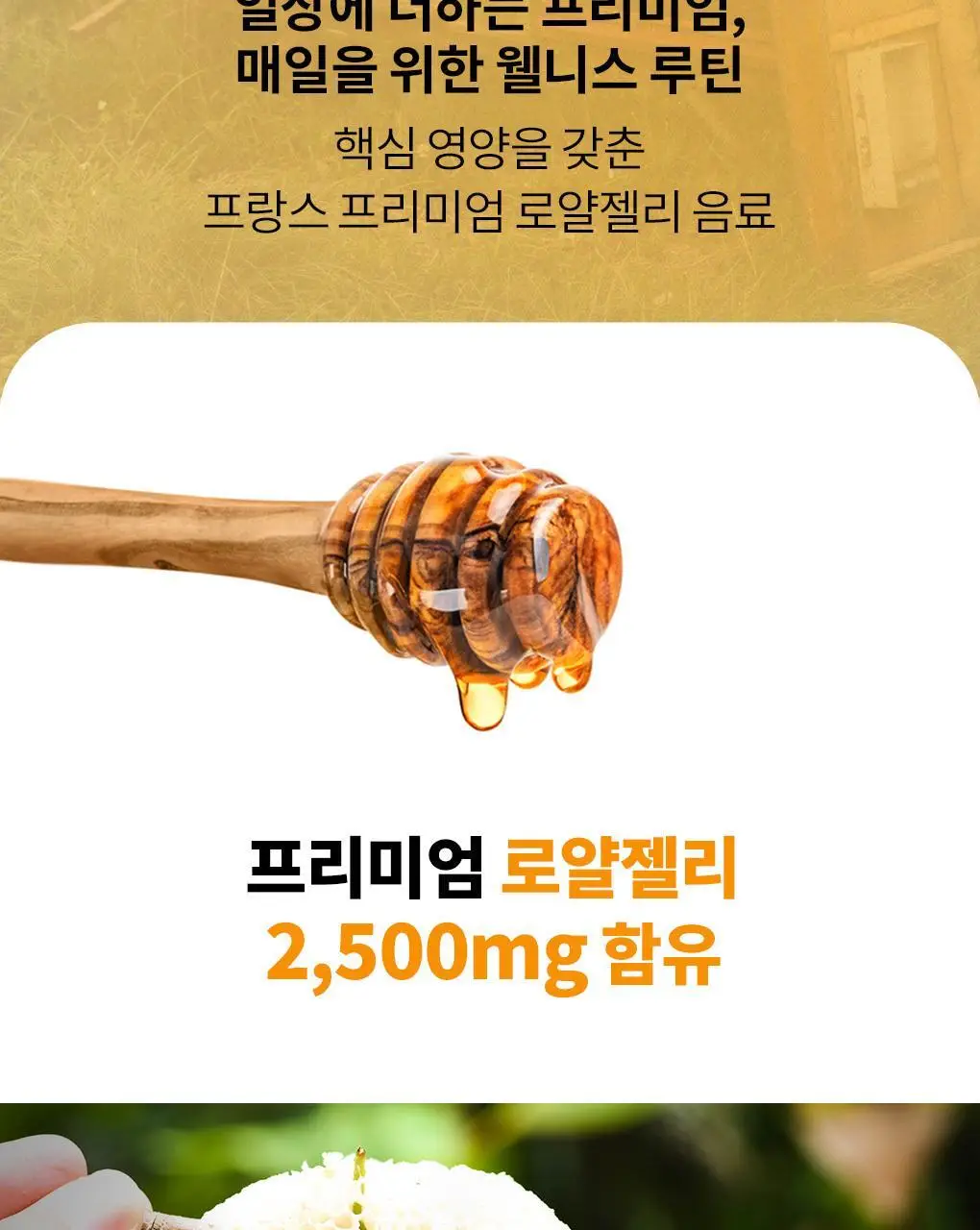아코로얄 프리미엄 로얄젤리 2500mg 유니카도스 15ml 20앰플 상세페이지 2